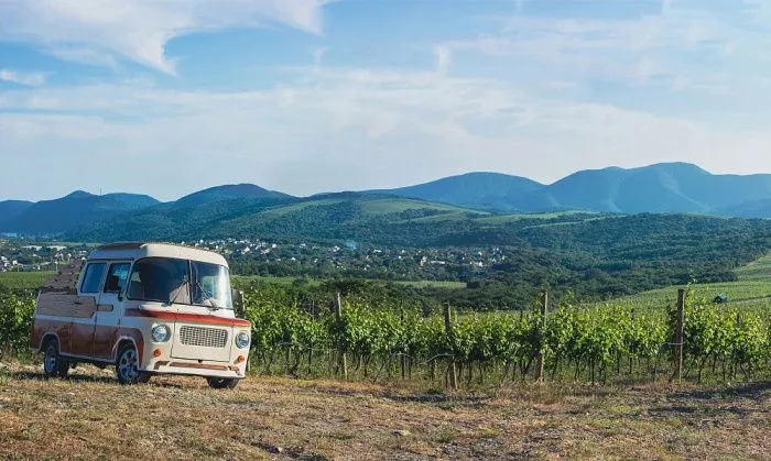 В Краснодарском крае впервые пройдет Черноморская винная неделя