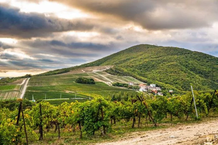 В Госдуму внесен законопроект о развитии винного туризма