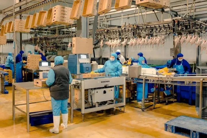 В Ростовской области производство мяса с начала года выросло на 4%