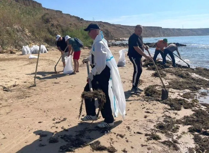 Под Анапой от новых выбросов нефтепродуктов пострадало около 2 км береговой линии Под Анапой от новых выбросов нефтепродуктов пострадало около 2 км береговой линии