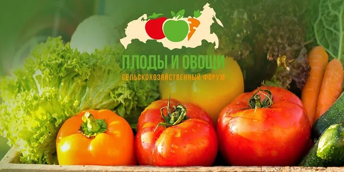 Форум «Плоды и овощи - 2021» состоится 22 октября без изменений! Форум «Плоды и овощи - 2021» состоится 22 октября без изменений!