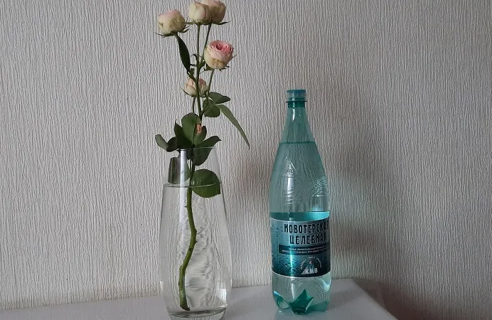 Новотерская целебная сайт.jpg Новотерская целебная сайт.jpg