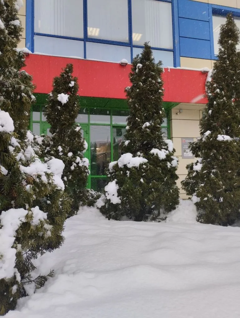 Снегопад Ростов 6 Снегопад Ростов 6