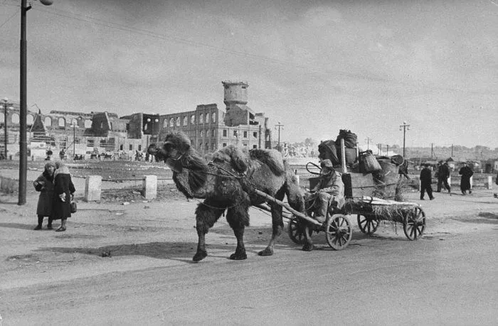 Сталинград 1947.jpg Сталинград 1947.jpg